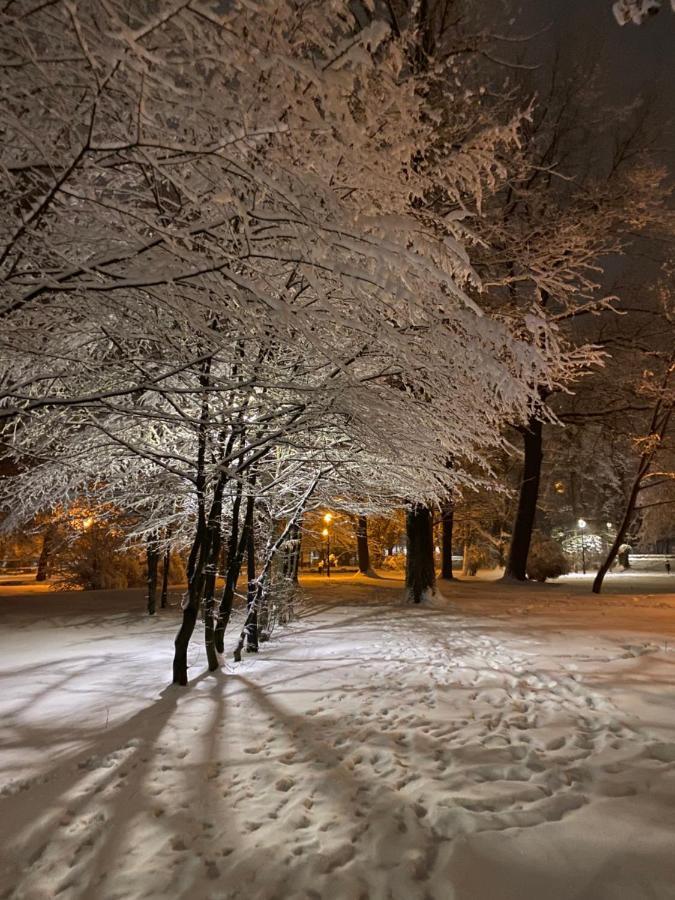 Apartament I Pokoje Goscinne U Lusi Wisla Bagian luar foto