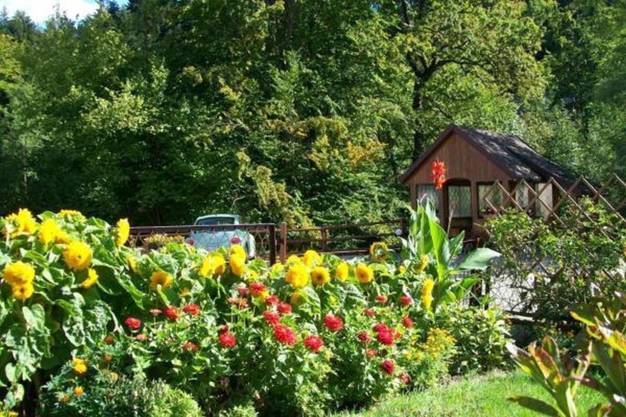 Apartament I Pokoje Goscinne U Lusi Wisla Bagian luar foto