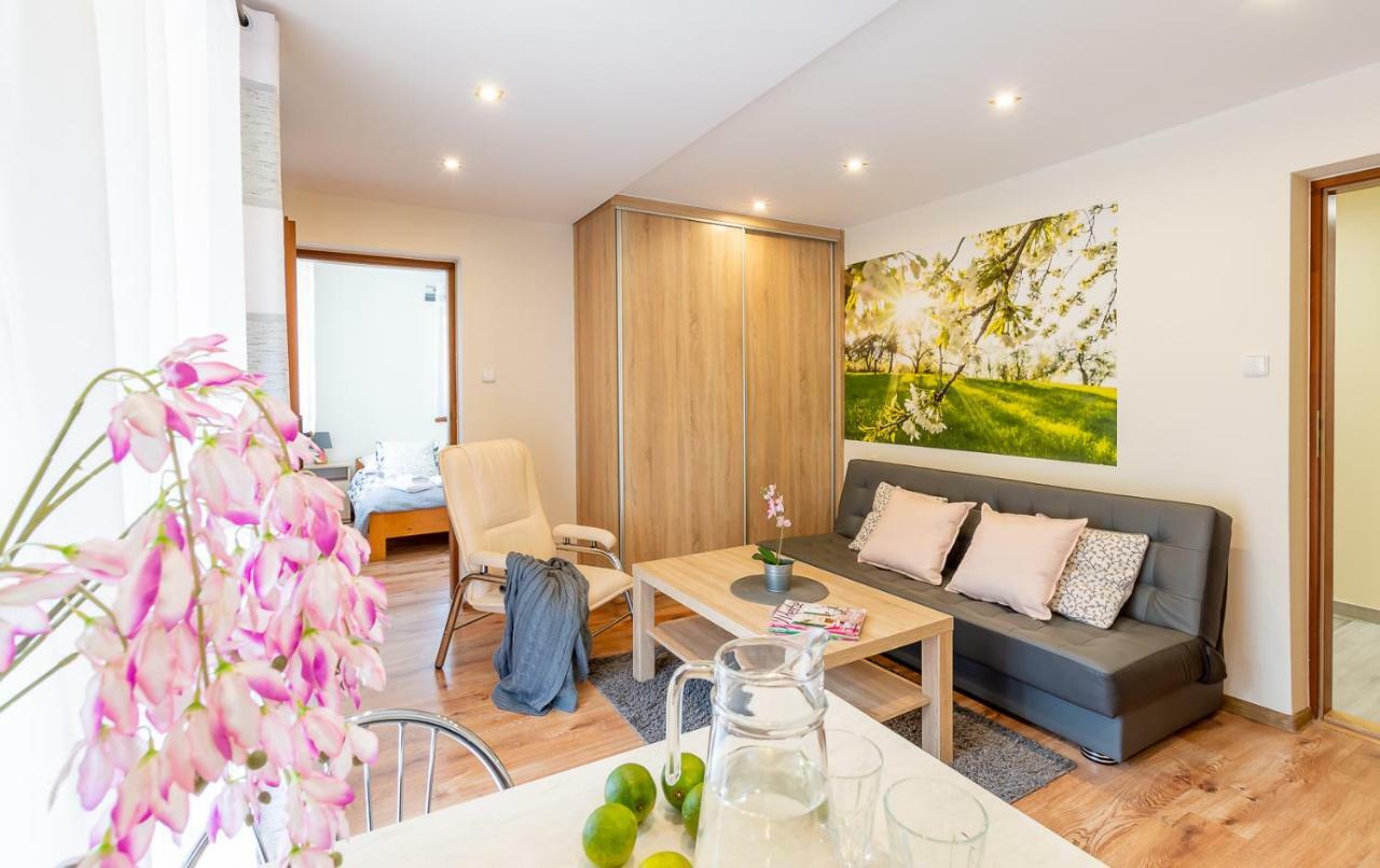Apartament I Pokoje Goscinne U Lusi Wisla Bagian luar foto