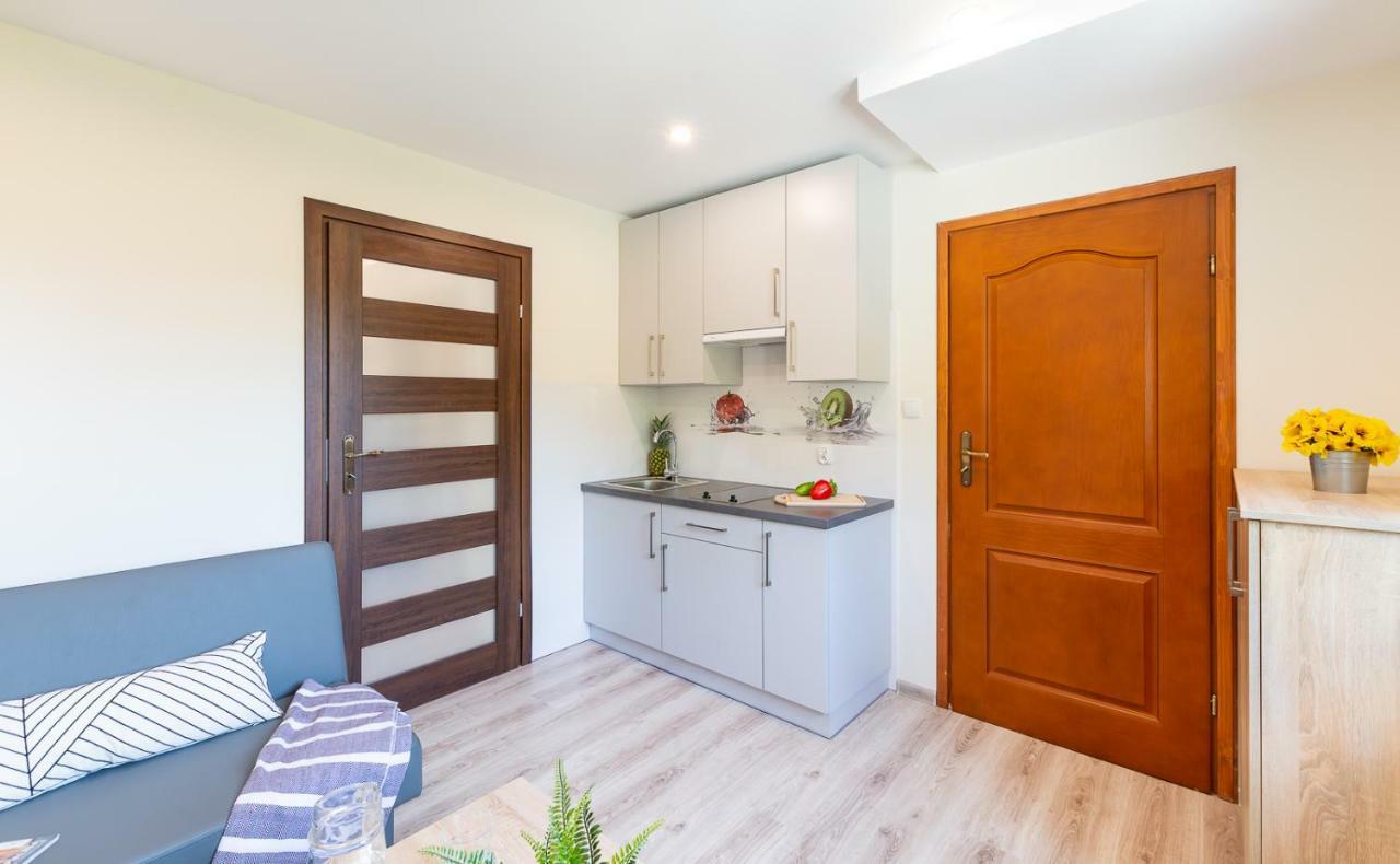 Apartament I Pokoje Goscinne U Lusi Wisla Bagian luar foto